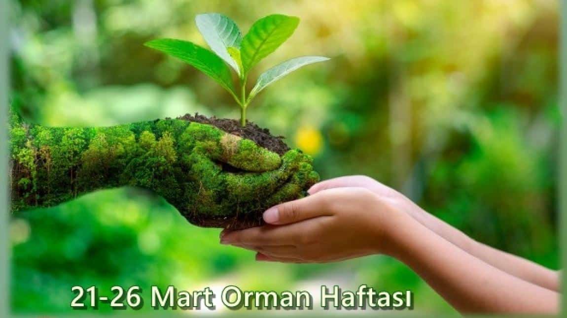 ORMAN HAFTASI (21-26 MART)